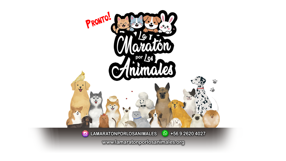 siguenos